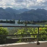 Garden Hotel 3*